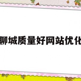 聊城质量好网站优化(聊城网上商城)