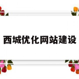 西城优化网站建设(网站建设优化seo)