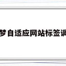 包含织梦自适应网站标签调用的词条