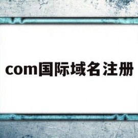 com国际域名注册(国际域名注册服务商是什么)