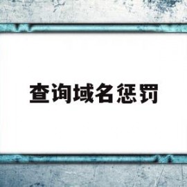 查询域名惩罚(查域名的网站有哪些)