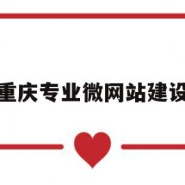 重庆专业微网站建设(重庆网站优化方案)