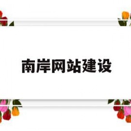 关于南岸网站建设的信息