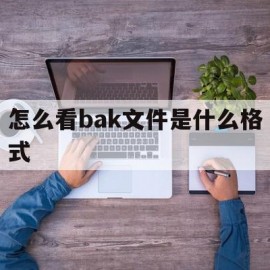 怎么看bak文件是什么格式(bak文件在哪)