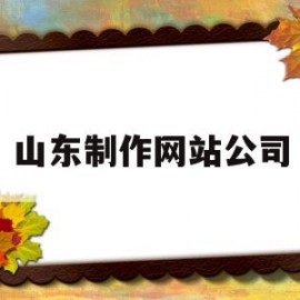 山东制作网站公司(山东专业网站开发公司)