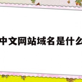 中文网站域名是什么(网站中文域名有用吗)