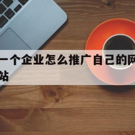 一个企业怎么推广自己的网站(一个企业怎么推广自己的网站呢)