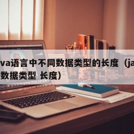 java语言中不同数据类型的长度（java 数据类型 长度）