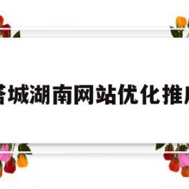 包含塔城湖南网站优化推广的词条