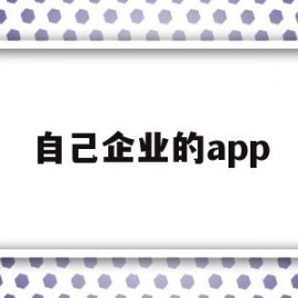 自己企业的app(自己企业的开票信息哪里可以查)