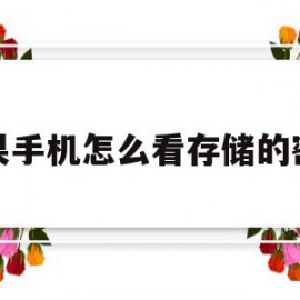 苹果手机怎么看存储的密码(苹果手机怎么看存储的密码是什么)