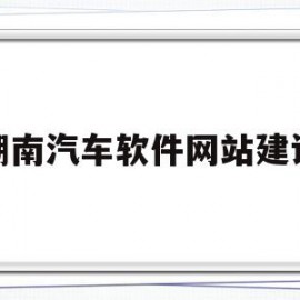 湖南汽车软件网站建设(湖南汽车制造有限责任公司)