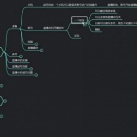 臻曦联盟无人直播小游戏推广项目玩法详解【视频课程