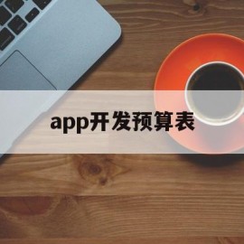 app开发预算表(app开发预算财务分析)