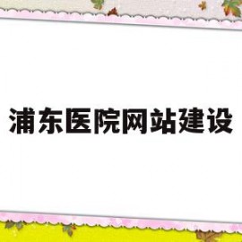 浦东医院网站建设(浦东医院网上预约挂号)