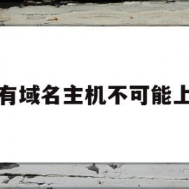 没有域名主机不可能上网(没有域名主机不可能上网对错)