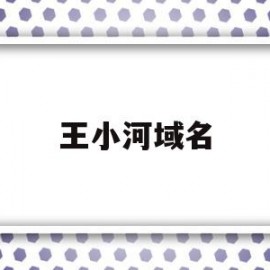 王小河域名(王小予个人资料)