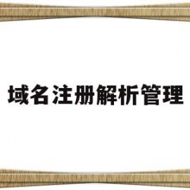 域名注册解析管理(域名注册解析管理怎么弄)