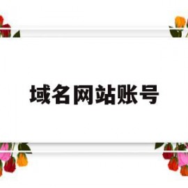 域名网站账号(域名注册的网址)