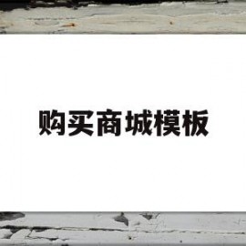 包含购买商城模板的词条