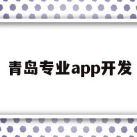青岛专业app开发(青岛app制作公司有哪些)