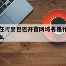包含在阿里巴巴开官网域名是什么的词条