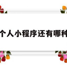 个人小程序还有哪种(个人小程序还有哪种可以赚钱)