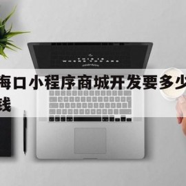 海口小程序商城开发要多少钱(小程序网上商城开发费用)