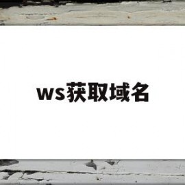 ws获取域名(ws域名怎么样)
