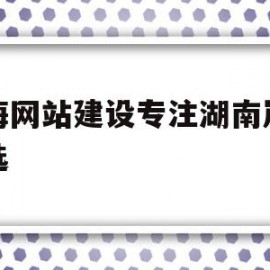 上海网站建设专注湖南岚鸿皆选(湖南妹子上海打工怀孕)