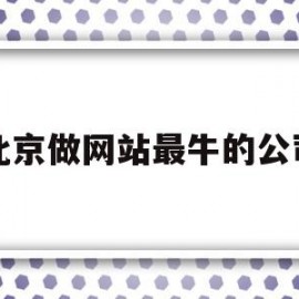 北京做网站最牛的公司(北京网站开发公司前十名)