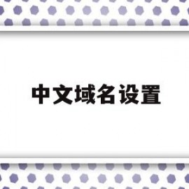 中文域名设置(中文域名设置二级域名吗)