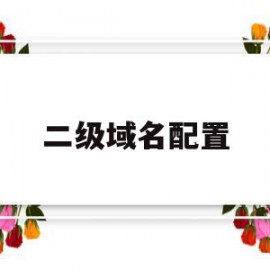 二级域名配置(二级域名配置端口)