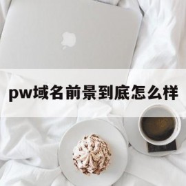 pw域名前景到底怎么样(pi的域名)
