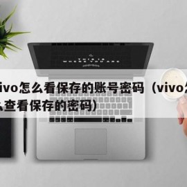 vivo怎么看保存的账号密码（vivo怎么查看保存的密码）