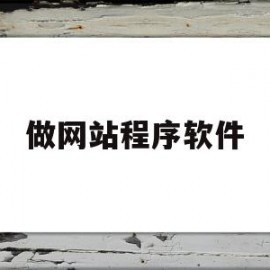 做网站程序软件(网站用什么软件做)
