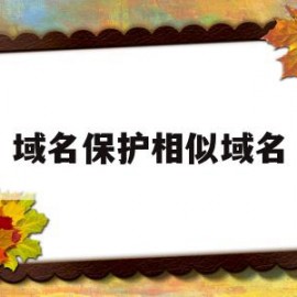 域名保护相似域名(域名保护相似域名是什么)