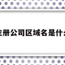 注册公司区域名是什么(注册公司区域名是什么怎么填)