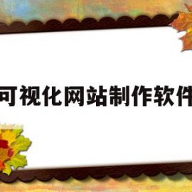 可视化网站制作软件(可视化网站制作软件哪个好)