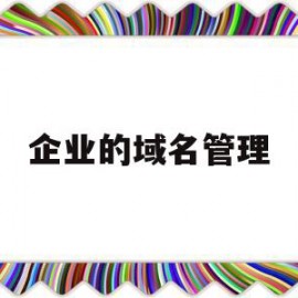 企业的域名管理(什么叫企业域名)