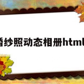 婚纱照动态相册html5(婚纱照弄成动态相册发朋友圈)