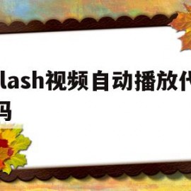 flash视频自动播放代码(网页视频怎么自动播放下一集代码)