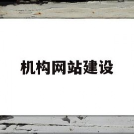 机构网站建设(成都专业网站建设机构)