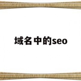 域名中的seo(域名中的edu表示)