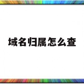 域名归属怎么查(域名归属查询官网)