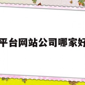 平台网站公司哪家好(网站哪家公司做的最好)