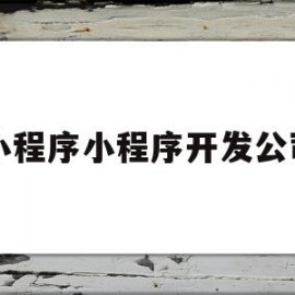 小程序小程序开发公司(小程序小程序开发公司哪家好)