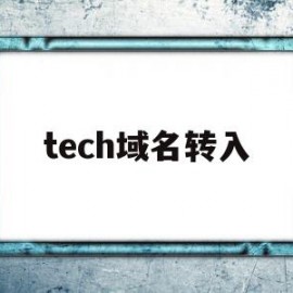 tech域名转入(域名转入namesilo)