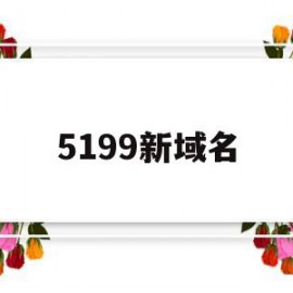 5199新域名(5199行业代码指的是什么)