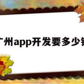 广州app开发要多少钱(广州app开发价格表)